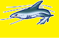 sharks with laser beams 404