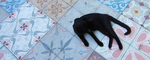 Hemingway’s Cats and the Rum Barge