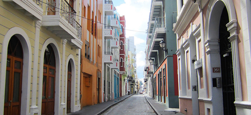 Revisiting the Cats of San Juan