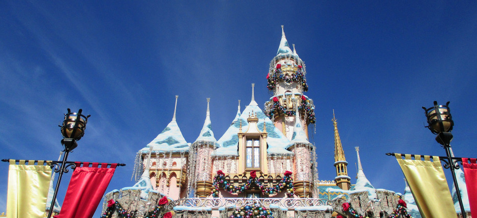 Thanksgiving at Disneyland, and the Downside of Airbnb