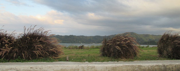 The Long Drive from Mobay