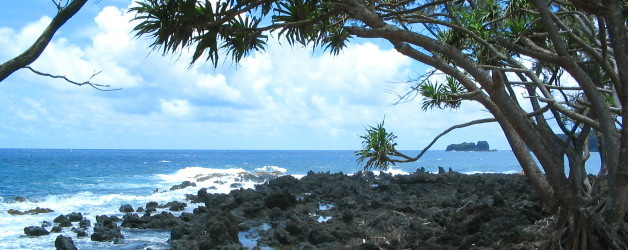 Big Island -> Maui, and the Road to Hana