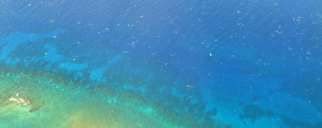 Jamaica -> Minneapolis