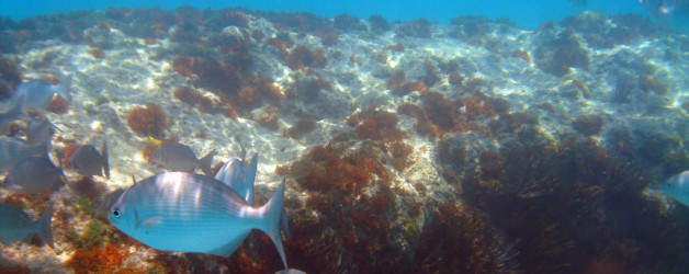 Bermuda: Elbow Beach and St George’s