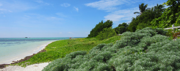 Bahia Honda: Perfection in the Keys