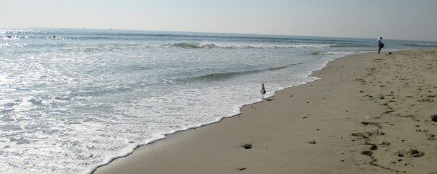 Beach + Hockey in the Same Day?