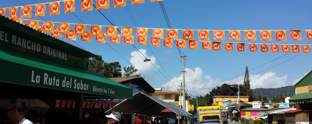 A Vegetarian on la Ruta de Lechon