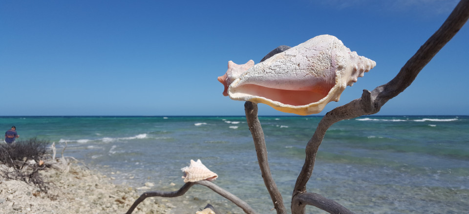 Camping at Dry Tortugas National Park